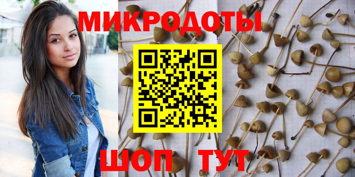 Галлюциногенные грибы мицелий Асино